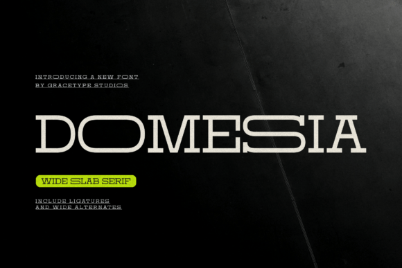 Domesia Font: A Slab Serif for Small Business Branding