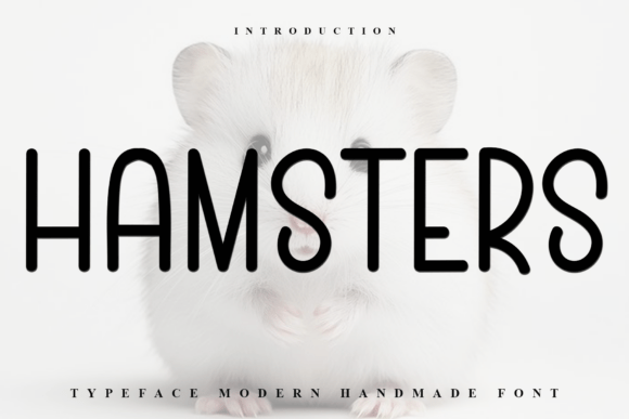 Hamsters Font: Modern Branding for Small Business